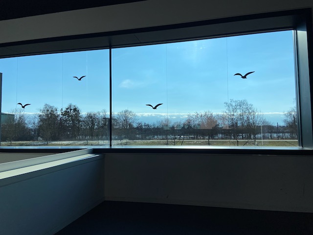 Vier Tage GeoMINT_2026_15